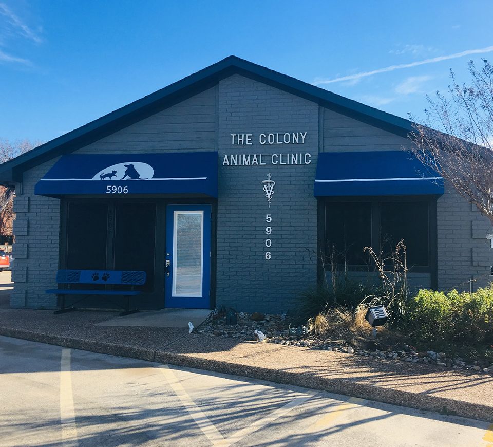 the colony animal clinic exterior