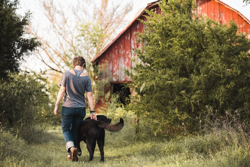 happy dog and human