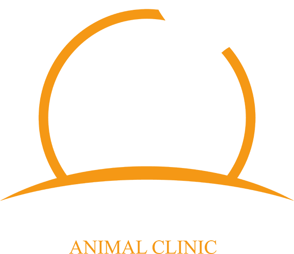 bottom-logo