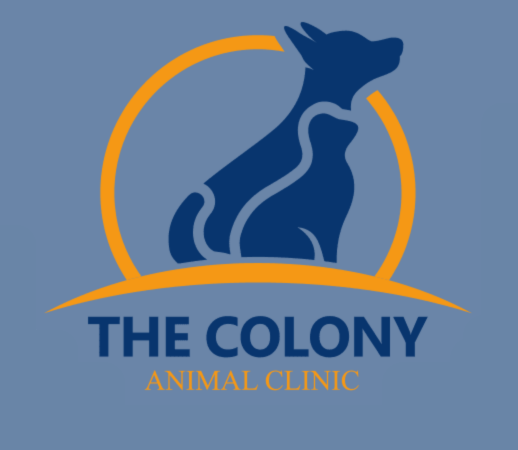 Logo on blue background