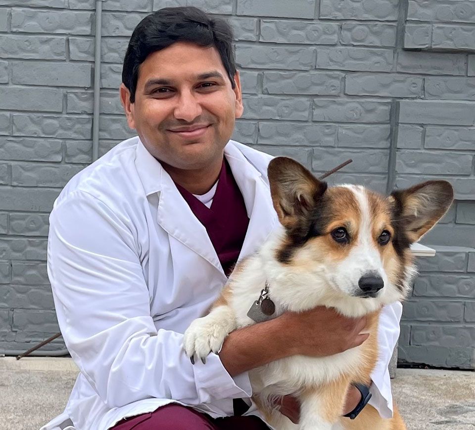Dr Hari