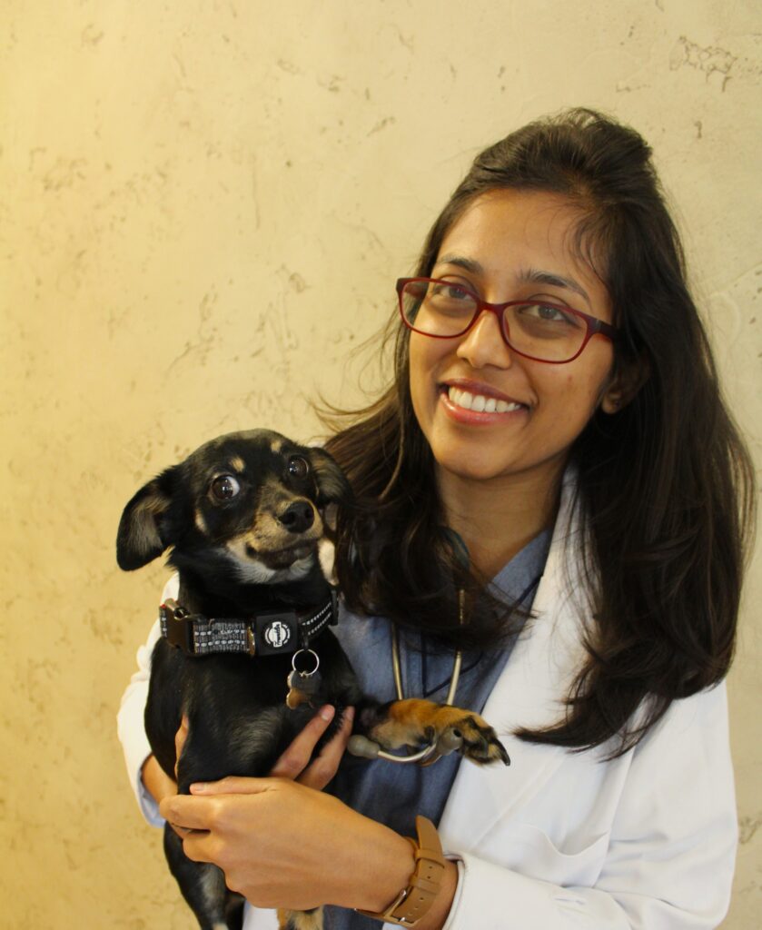 Dr. Reddy