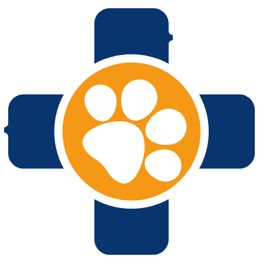 veterinarian icon