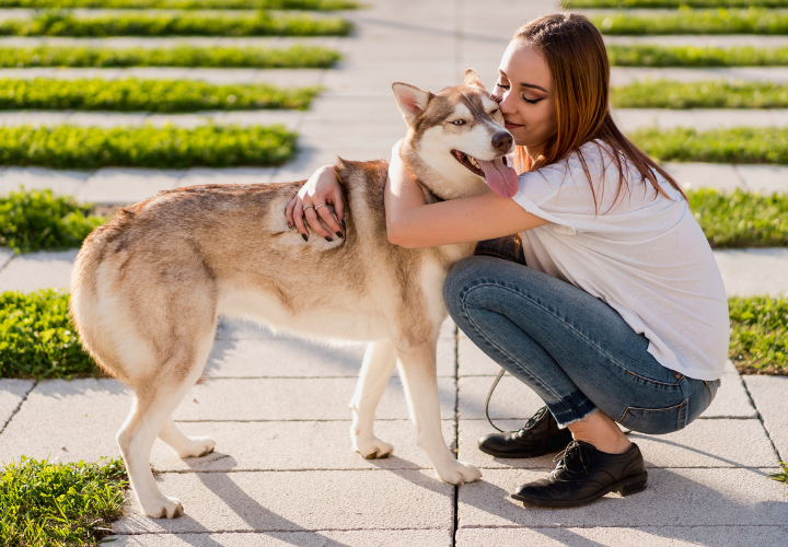Woman hugging a happy husky dog outdoors on a sunny day