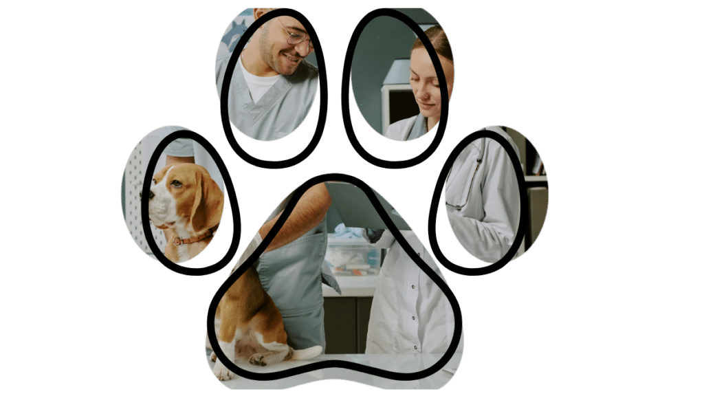 preventive vet care near me for dogs and cats in The Colony