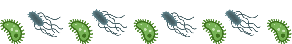 Veterinarian checking Dogs and Cats for parasites at The Colony Animal Clinic in The Colony TX