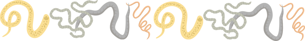 Dog scratching due to parasites at home in The Colony TX pet owner education from The Colony Animal Clinic