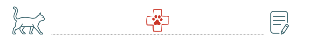 pet insurance emergency care support The Colony Animal Clinic The Colony TX dogs cats