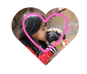 Experienced vet in The Colony, TX providing personalized veterinary care at The Colony Animal Clinic