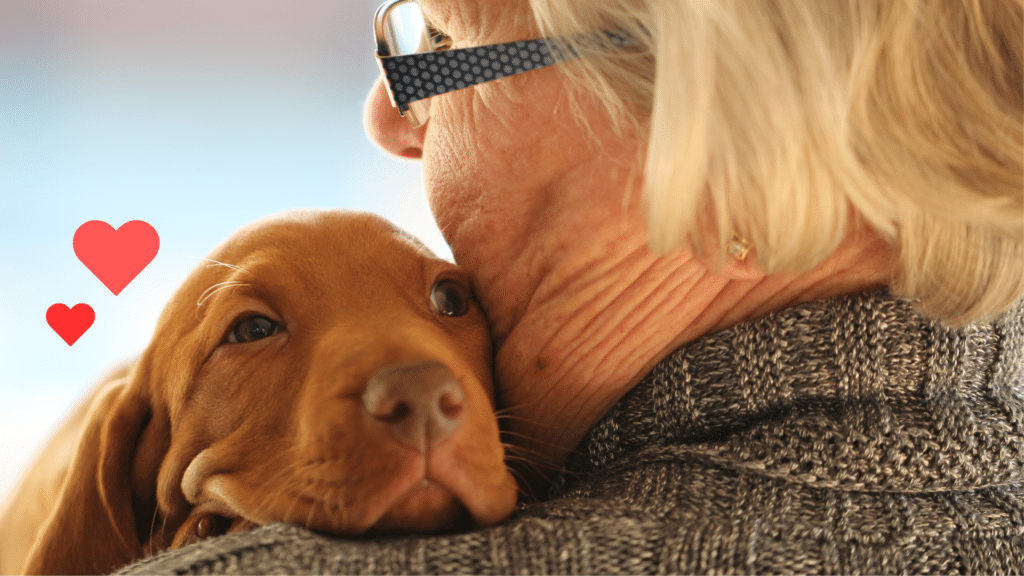 New puppy cuddling with its owner while beginning life with support from The Colony Animal Clinic in The Colony, TX